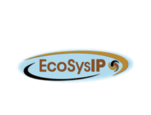 Tablet Screenshot of ecosysip.com